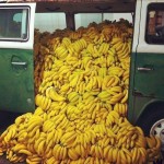 Banánömlés