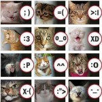 Macskák és jelek