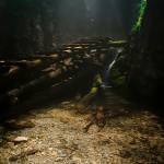 Szlovák Paradicsom Nemzeti Park